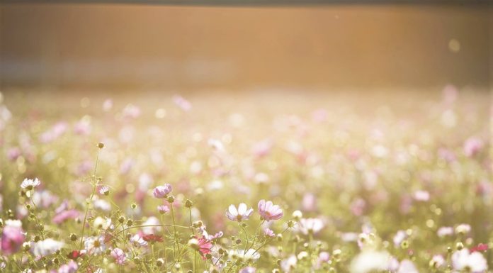 10 temeljnih življenjskih spoznanj, ki jih prepogosto pozabljamo
