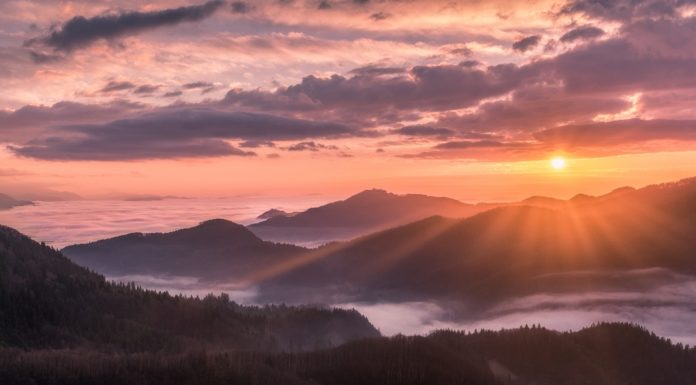 8. 4. 2019 | Današnji dan v fotografijah: Najlepše z družbenih omrežij