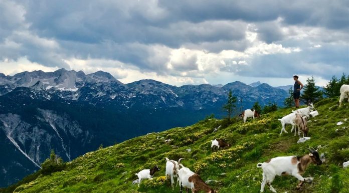 24. 4. 2019 | Današnji dan v fotografijah
